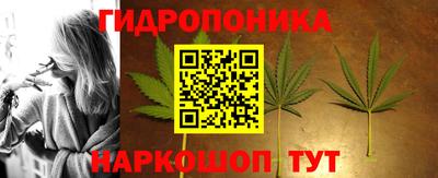 дурь Камышлов