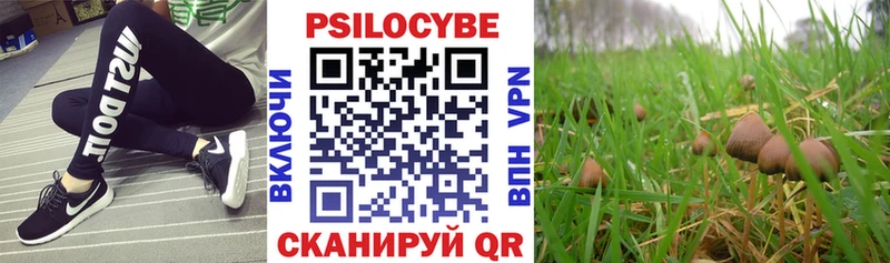 где можно купить   Магнитогорск  Псилоцибиновые грибы мицелий 