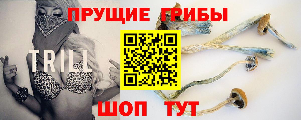 Галлюциногенные грибы прущие грибы Магнитогорск