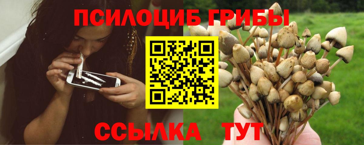 Псилоцибиновые грибы MAGIC MUSHROOMS  Вход с VPN  Магнитогорск  Псилоцибиновые грибы Psilocybine cubensis 